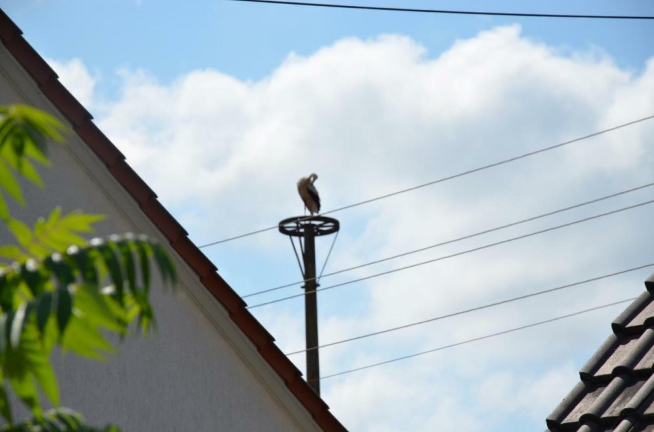 Storchennest An Der Spree In Radinkendorf Beeskow Exterior foto